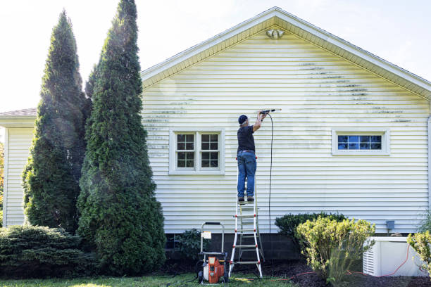 Best Deck Pressure Washing  in Kahaluu, HI